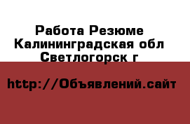 Работа Резюме. Калининградская обл.,Светлогорск г.